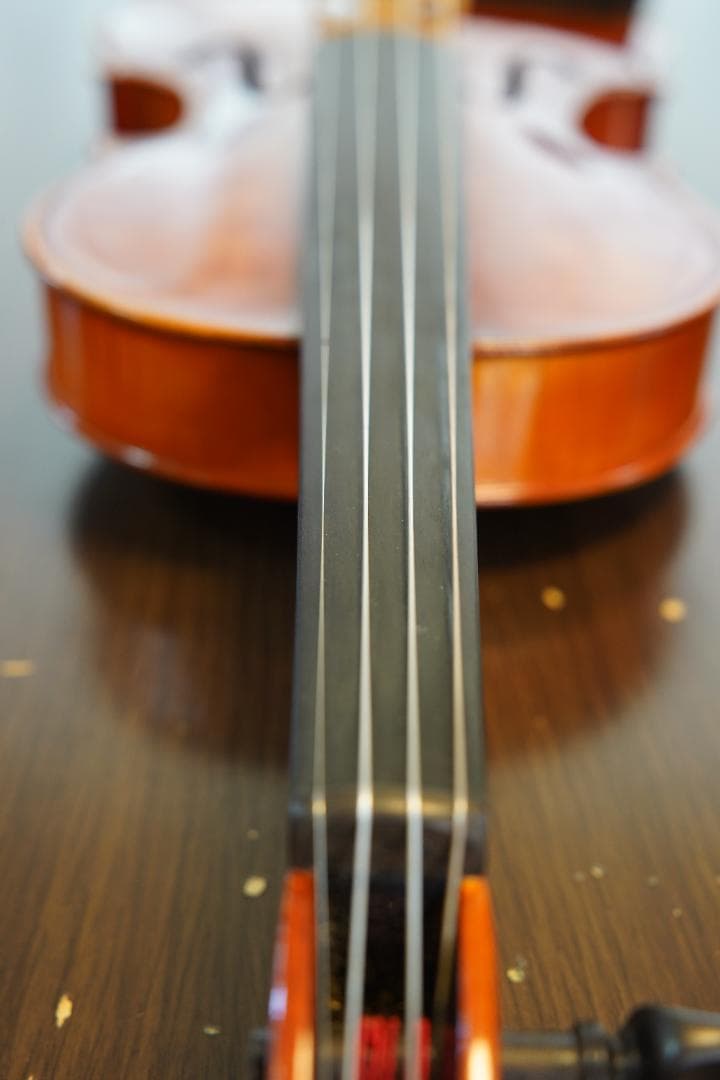 【美品】ローデリヒ・ペゾルト　バイオリン Paesold 804 4/4　☆5