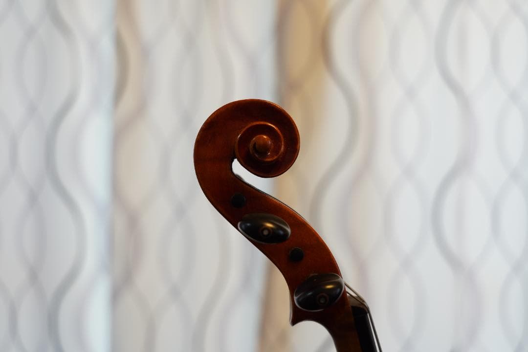 【美品】ローデリヒ・ペゾルト　バイオリン Paesold 804 4/4　☆5