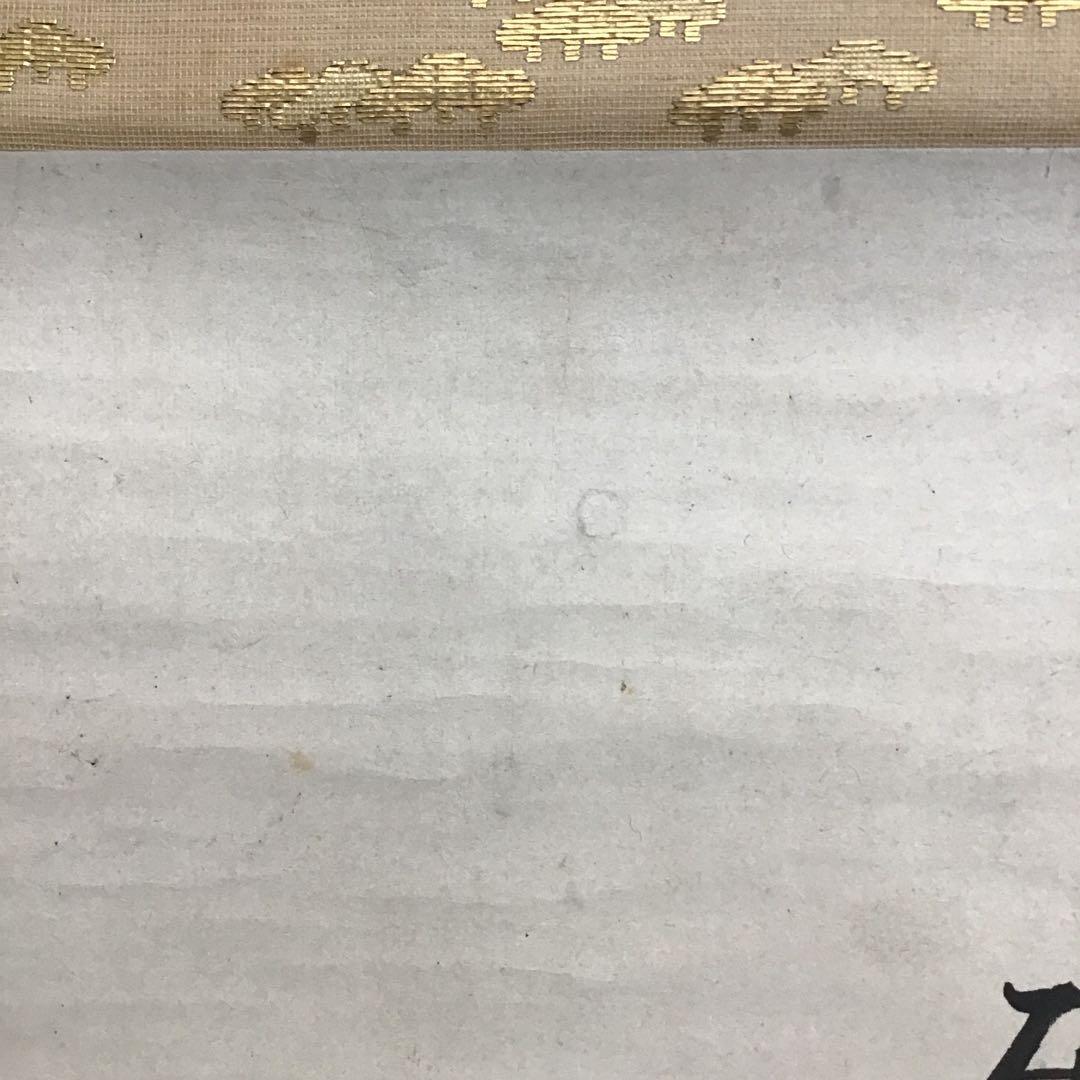 K茶道具　掛軸　加藤文麗　鷦鷯圖　横井也有讃　江戸時代　書付共箱　S1010KJ