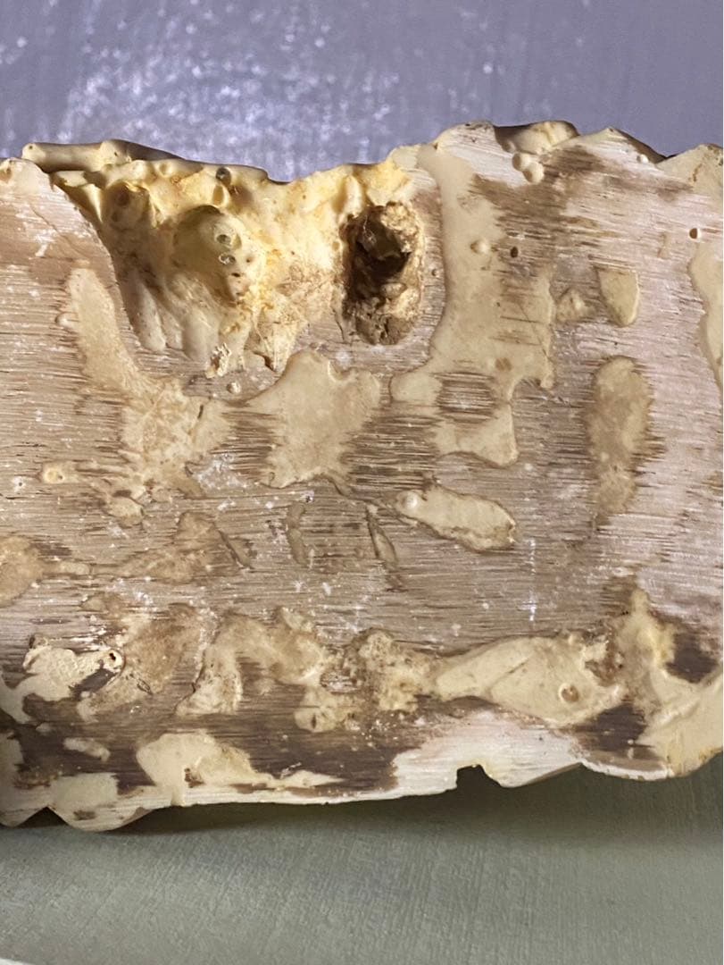 天然素材　騎馬武将像 木製台座付き　骨董