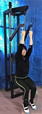 ～デビルウイング、翼を授ける～　デビルウイング・マシン(左右独立タイプ)　黒黒