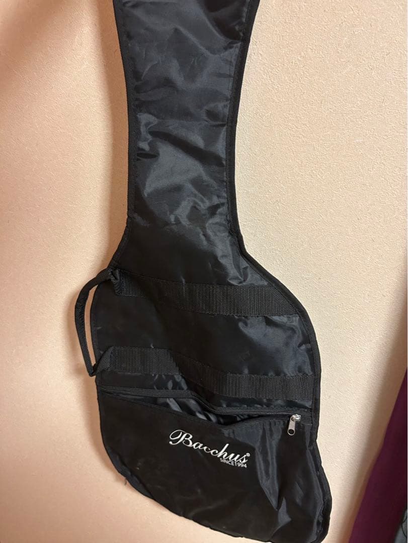 最終値下げ‼️ Bacchus エレキギター ブラック　GS mini