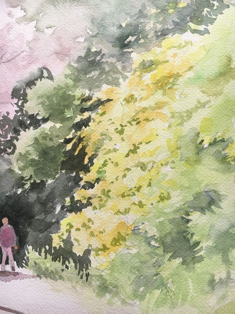 透明水彩画原画桜と山吹の散歩道