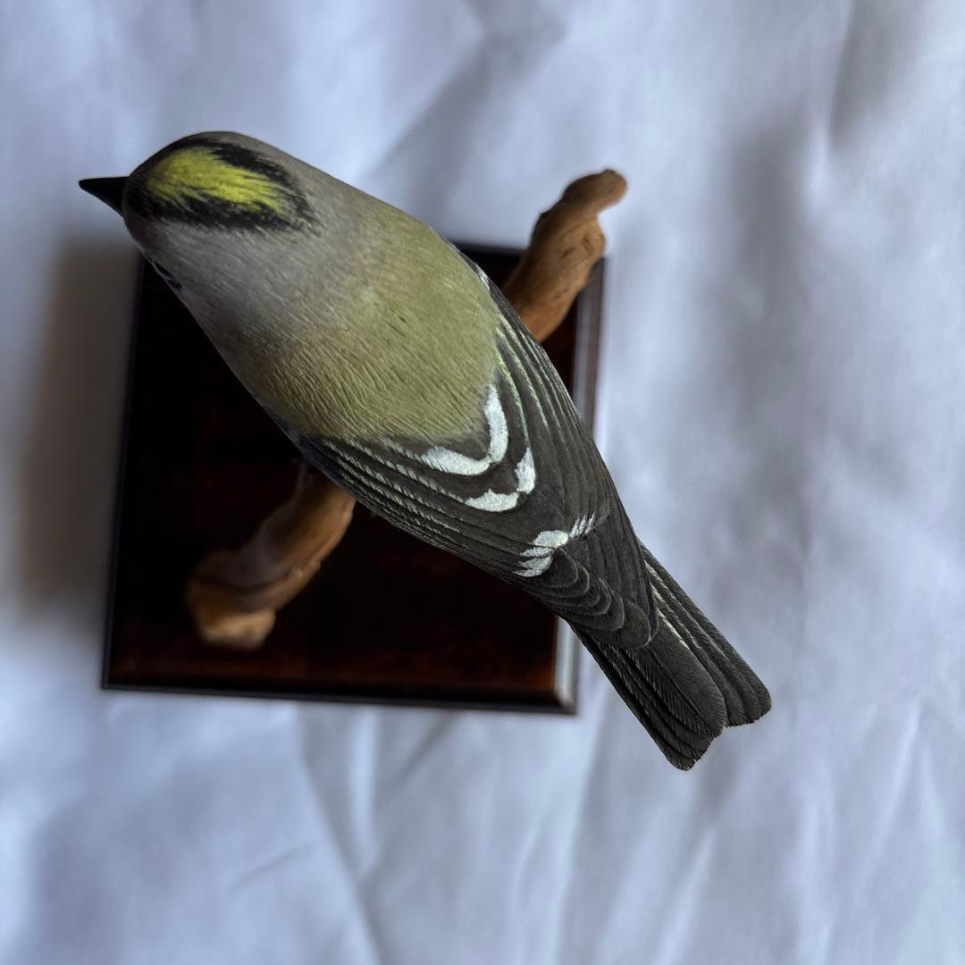 バードカービング　キクイタダキ