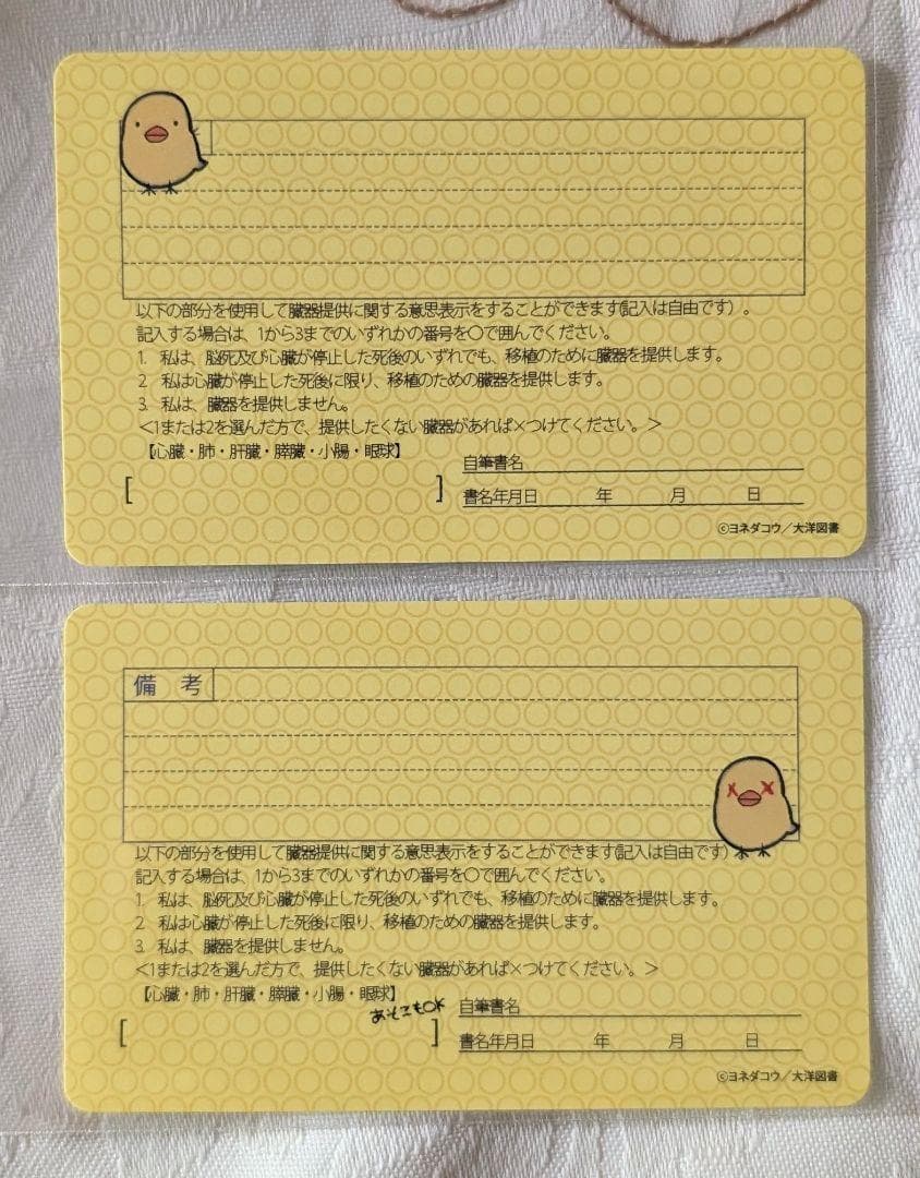 囀る鳥は羽ばたかない特典セット 小冊子 免許証 9巻限定BOX版 ペーパー