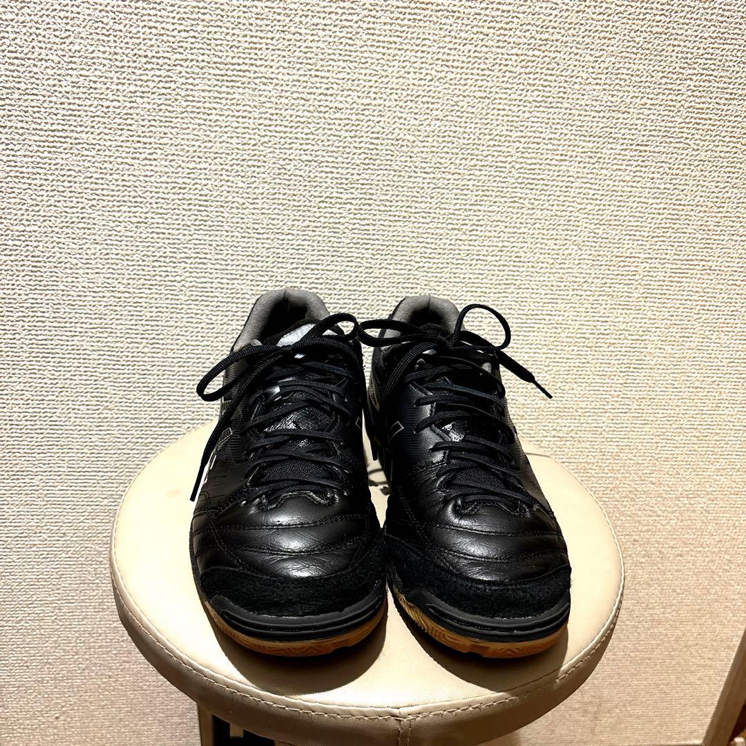 アシックス　デスタッキ25.5センチ