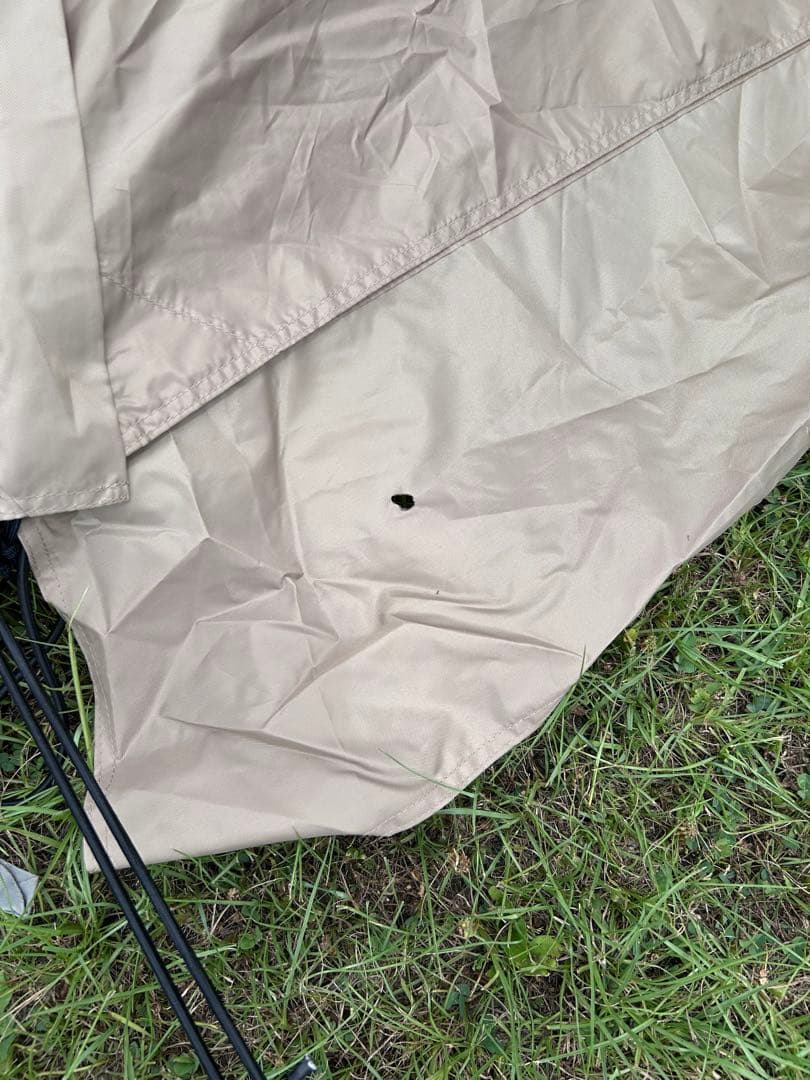 サバティカル SABBATICAL アルニカ