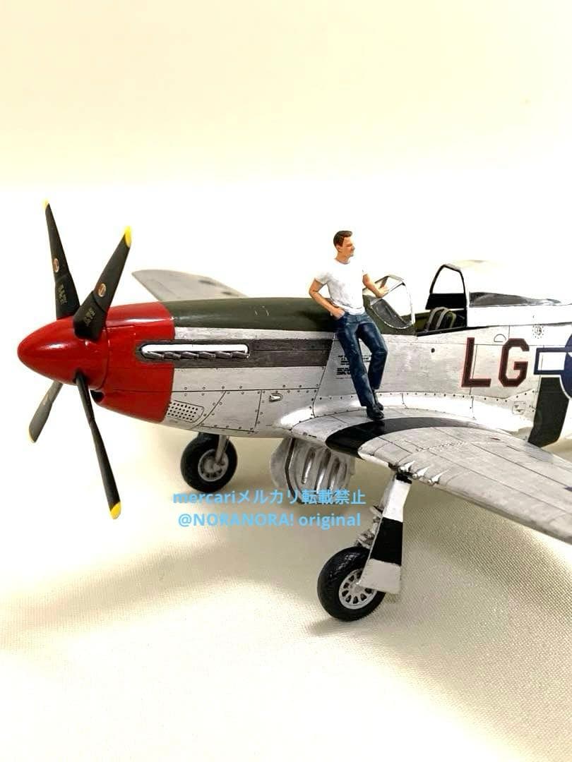 1/48 トップガンマーヴェリック仕様 P51マスタング 完成品