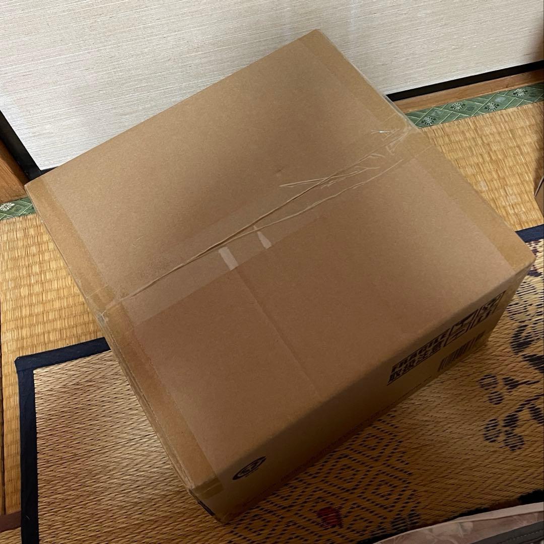 東宝大怪獣シリーズ　ゴジラ 2024 Evolved 少年リック限定版