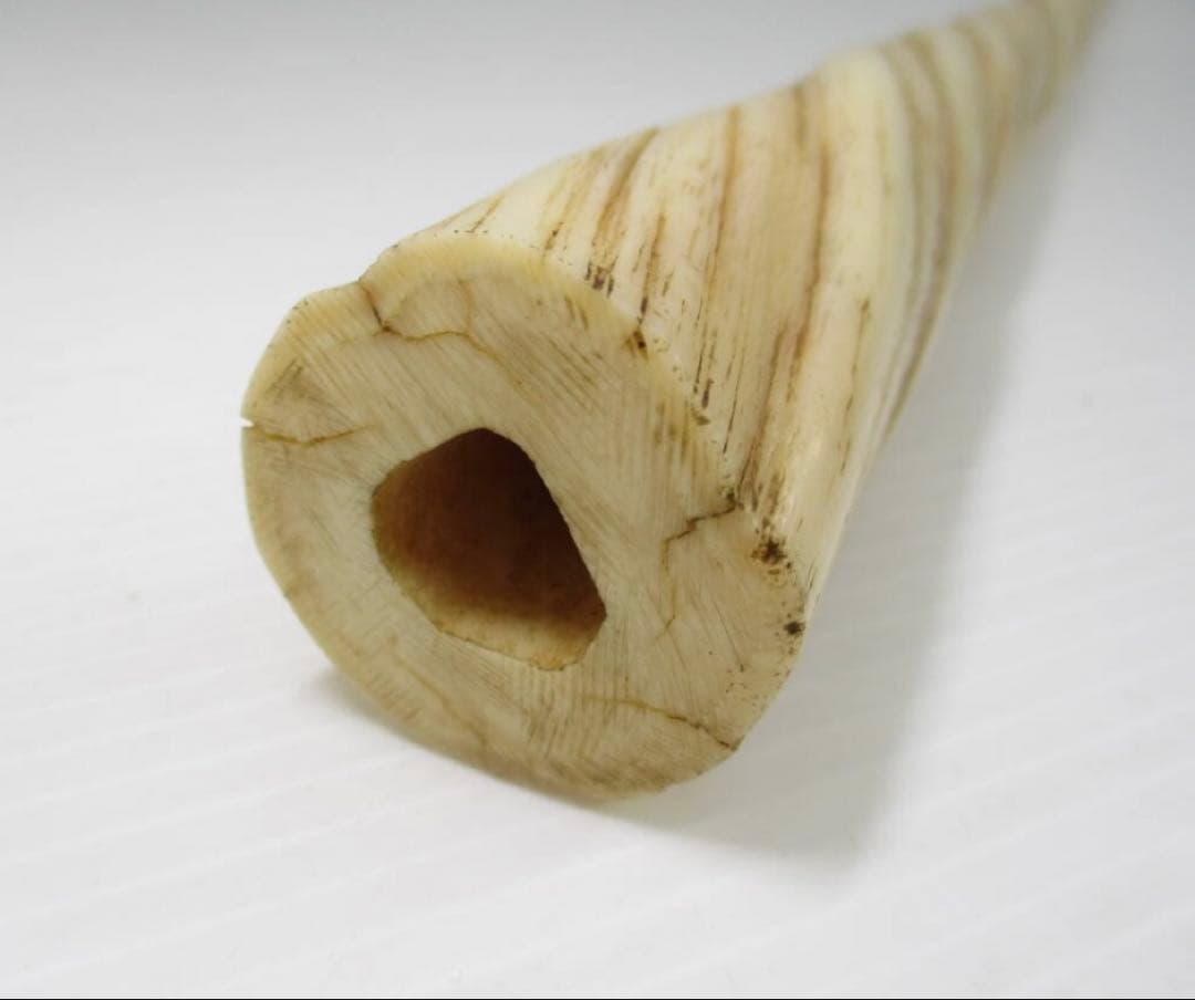 【年末特別品】一角　ウニコール イッカク　角　根付　彫刻　仏像　石器　縄文　勾玉