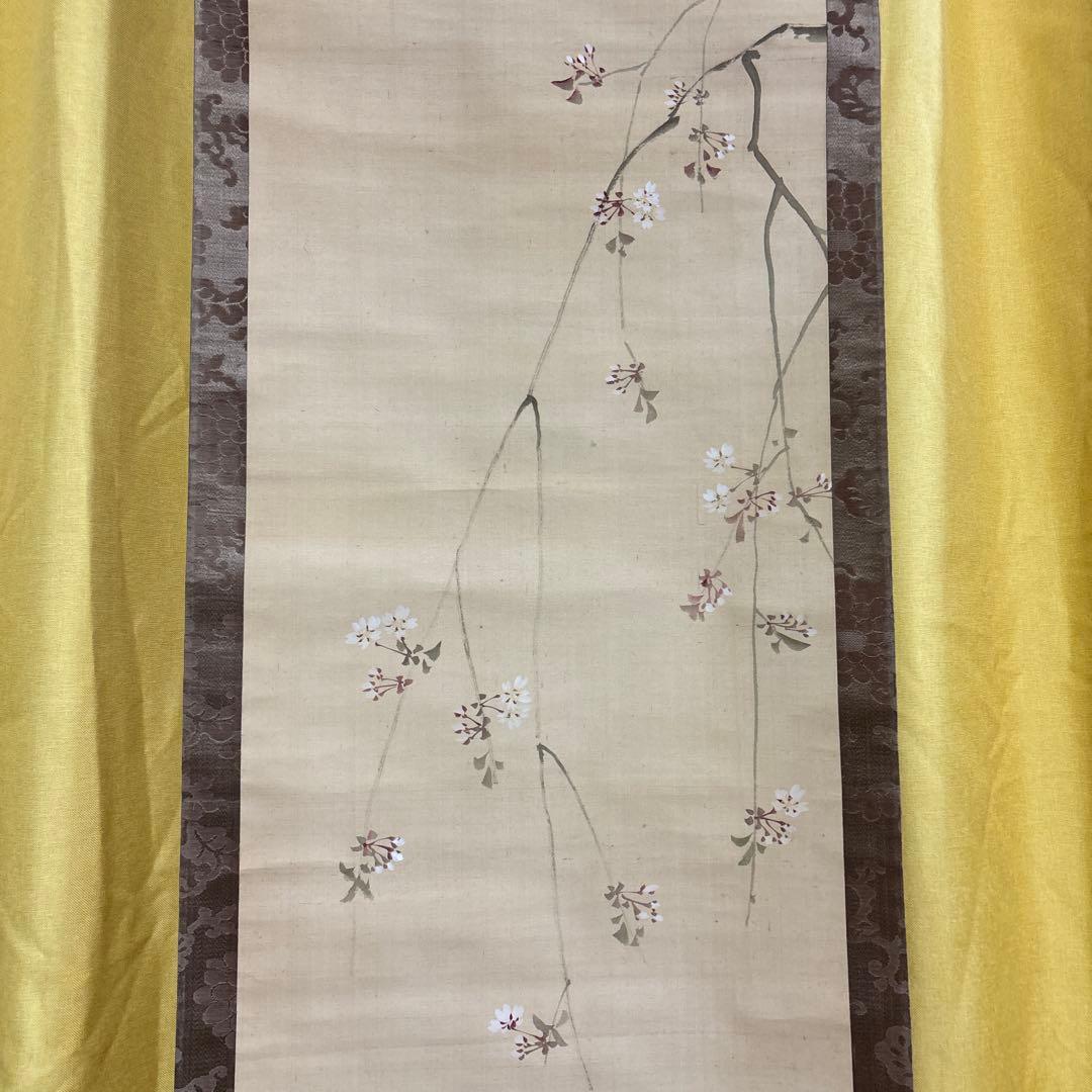 江戸時代中後期【森祖仙(狙仙)】　絹本淡彩 桜に猿　古美術　a8