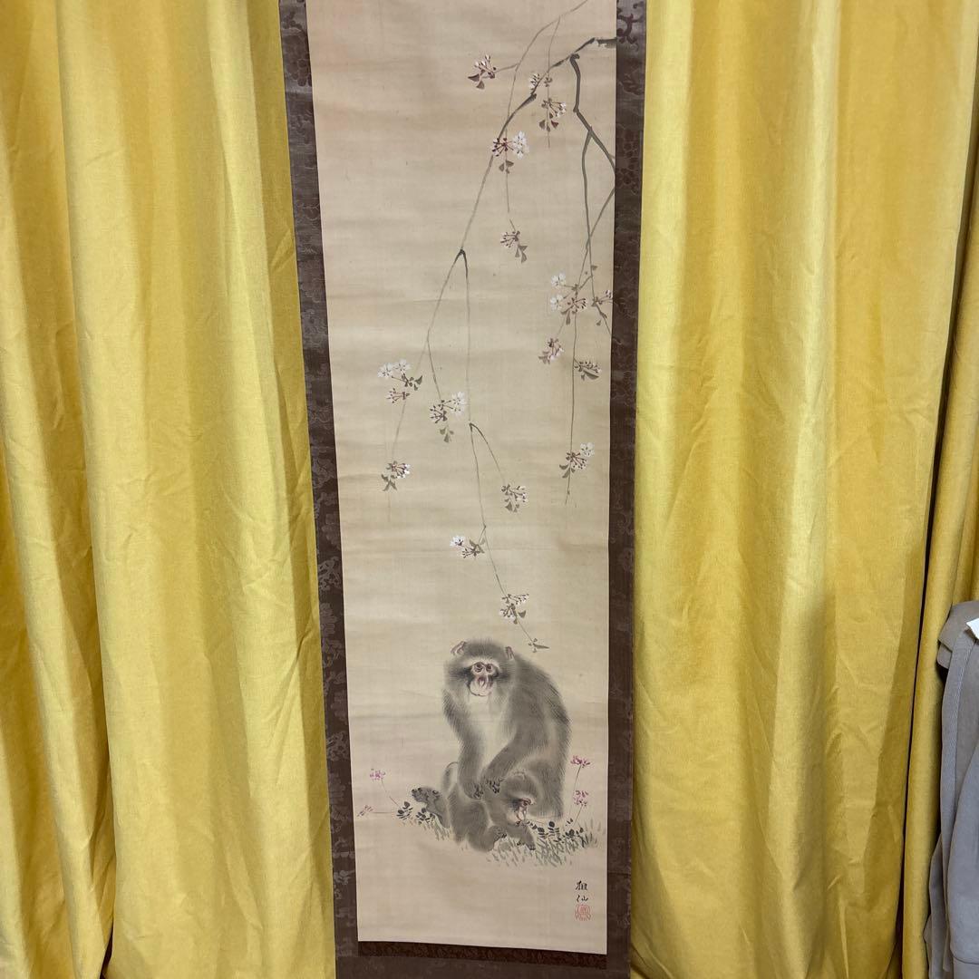 江戸時代中後期【森祖仙(狙仙)】　絹本淡彩 桜に猿　古美術　a8