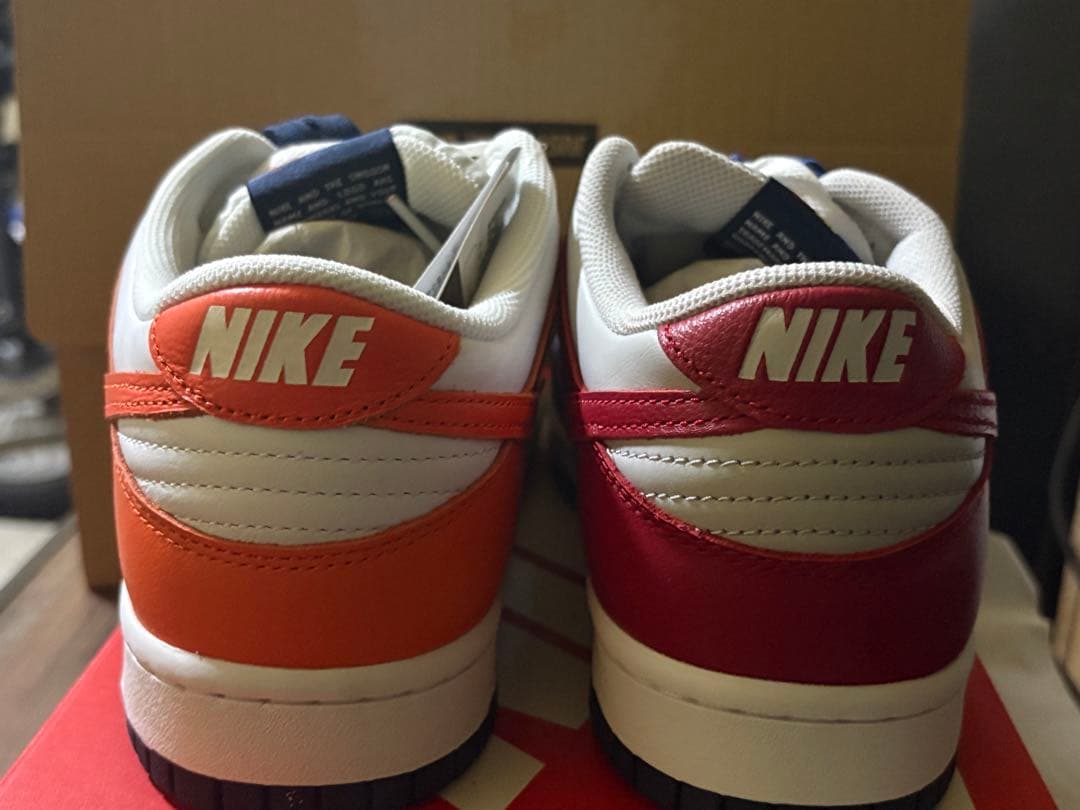 スケートボード Nike Dunk Low Multi-color