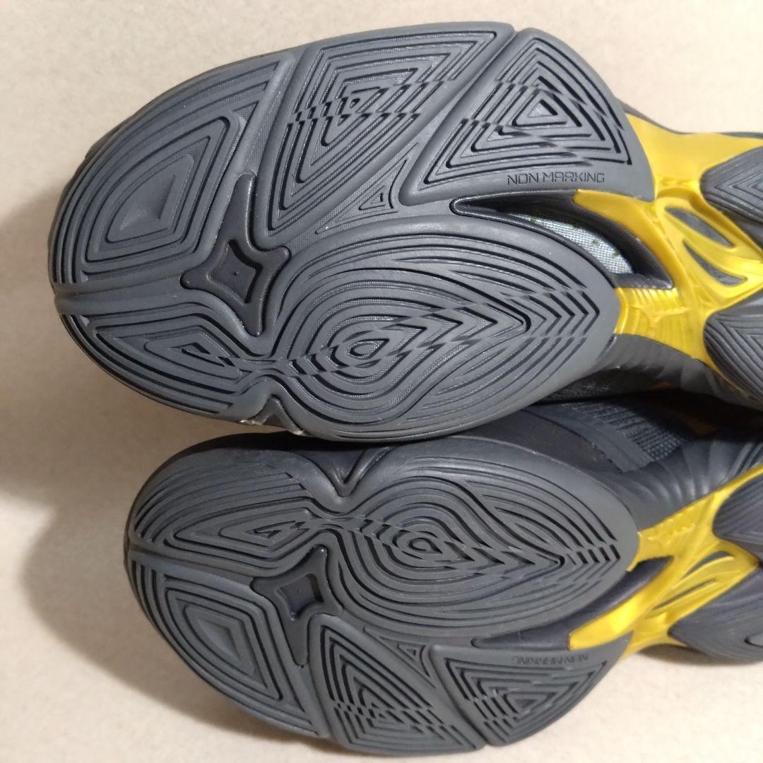 ミズノ バレーボールシューズ ウエーブライトニング NEO 2 29.5cm