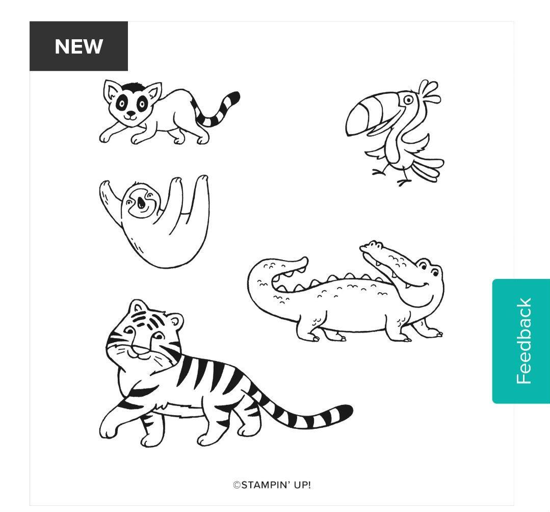 １点限り♡未使用　ジャングルスタンプ＆ダイ　スタンピンアップ