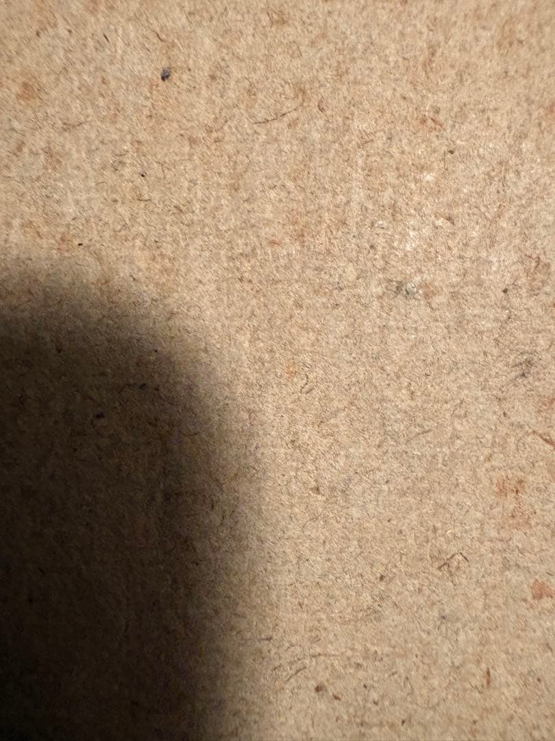 絵画 Alfred Sisley