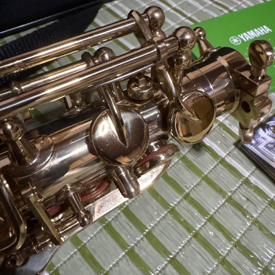 SELVA セルバ アルトサックス SAS-100 ケース付き　管楽器　音楽