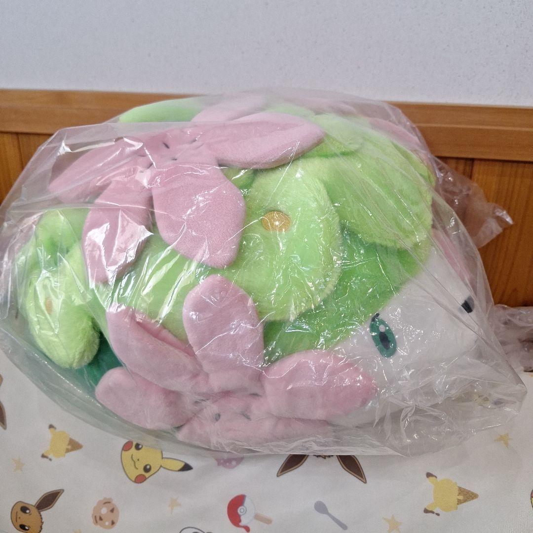 タグ付き　もっちり　シェイミ　20周年　ぬいぐるみ　クッション