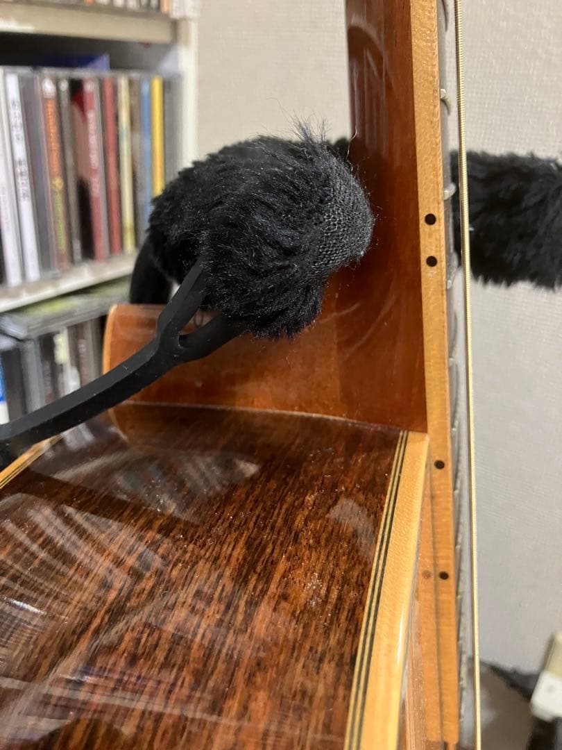 ASTURIAS/D. EMBLEM LRバッグスANTHEM搭載 フルリペア済