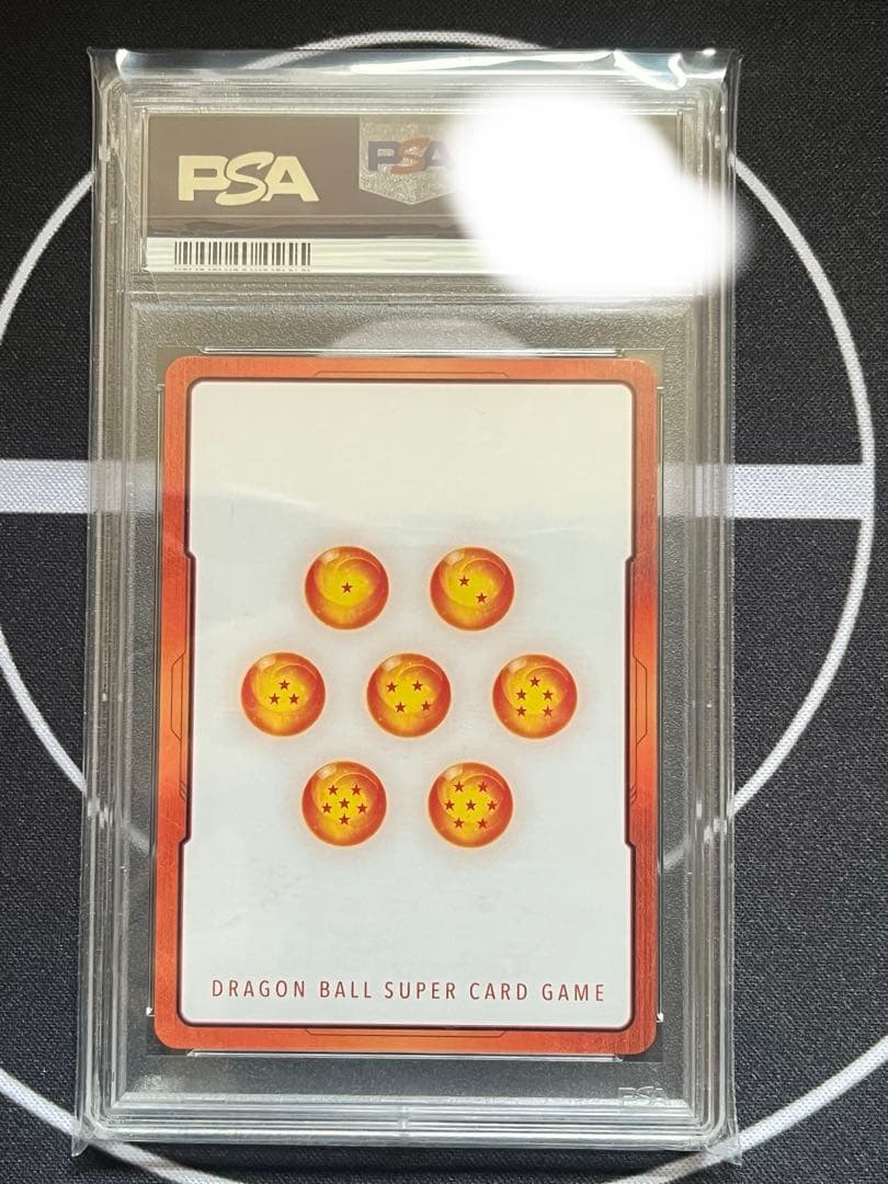 ビルス　エナジーマーカーpsa10