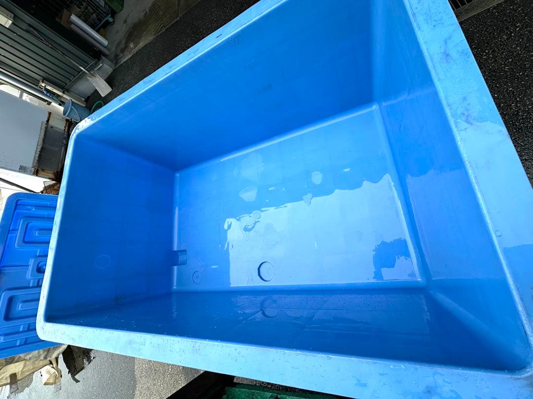 ジャンボックス 500L 大型水槽