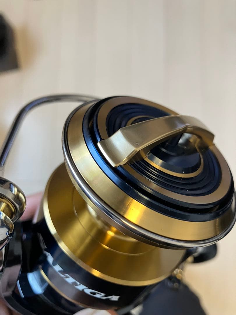 Daiwa 20 ソルティガ　20 SALTIGA 10000-H
