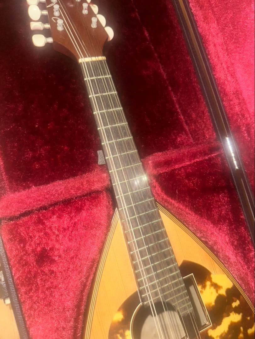 野口實　マンドリン 1985年製造