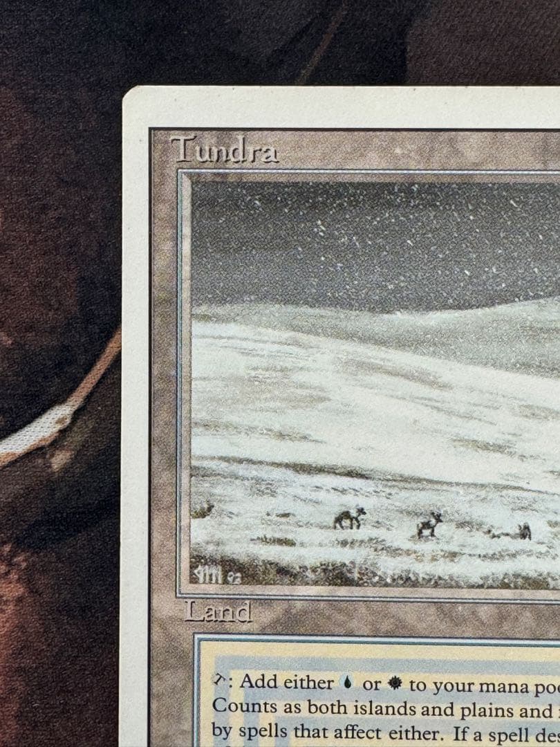 マジック：ザ・ギャザリング Tundra 3ED Revised