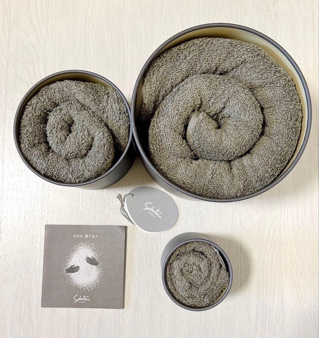 【新品未使用】育てるタオル feel ムーングレージュ3点セット　箱無し発送