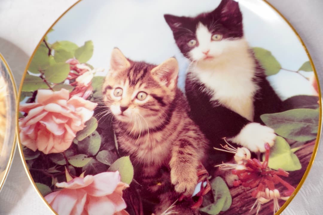 イギリス ヴィンテージ 猫 絵皿 2枚セット コレクションプレート