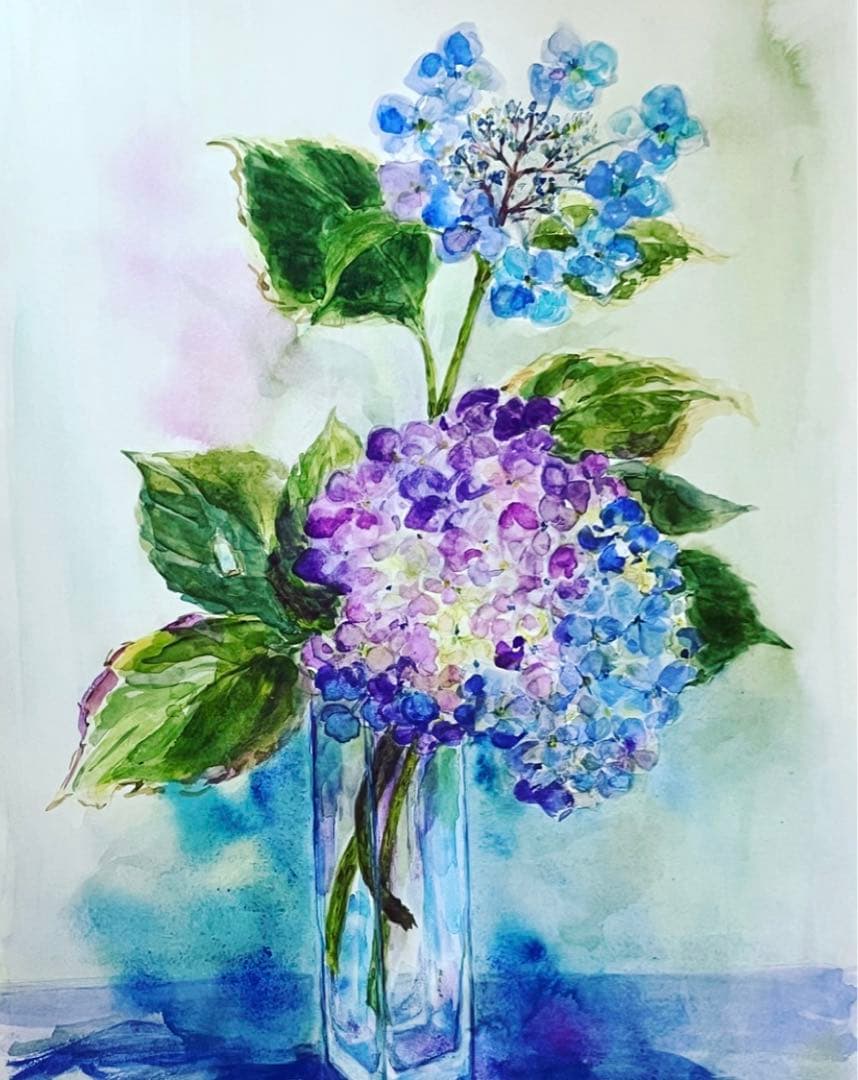 アジサイ　水彩画　原画