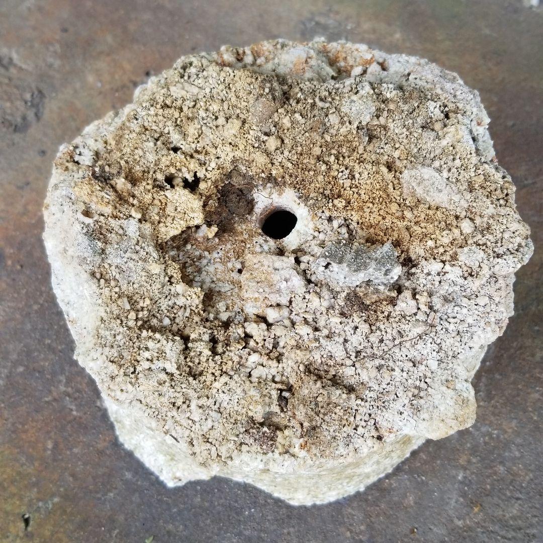 信楽焼  さや鉢 ミニ盆栽.山草鉢 U-15 高さ１１cm