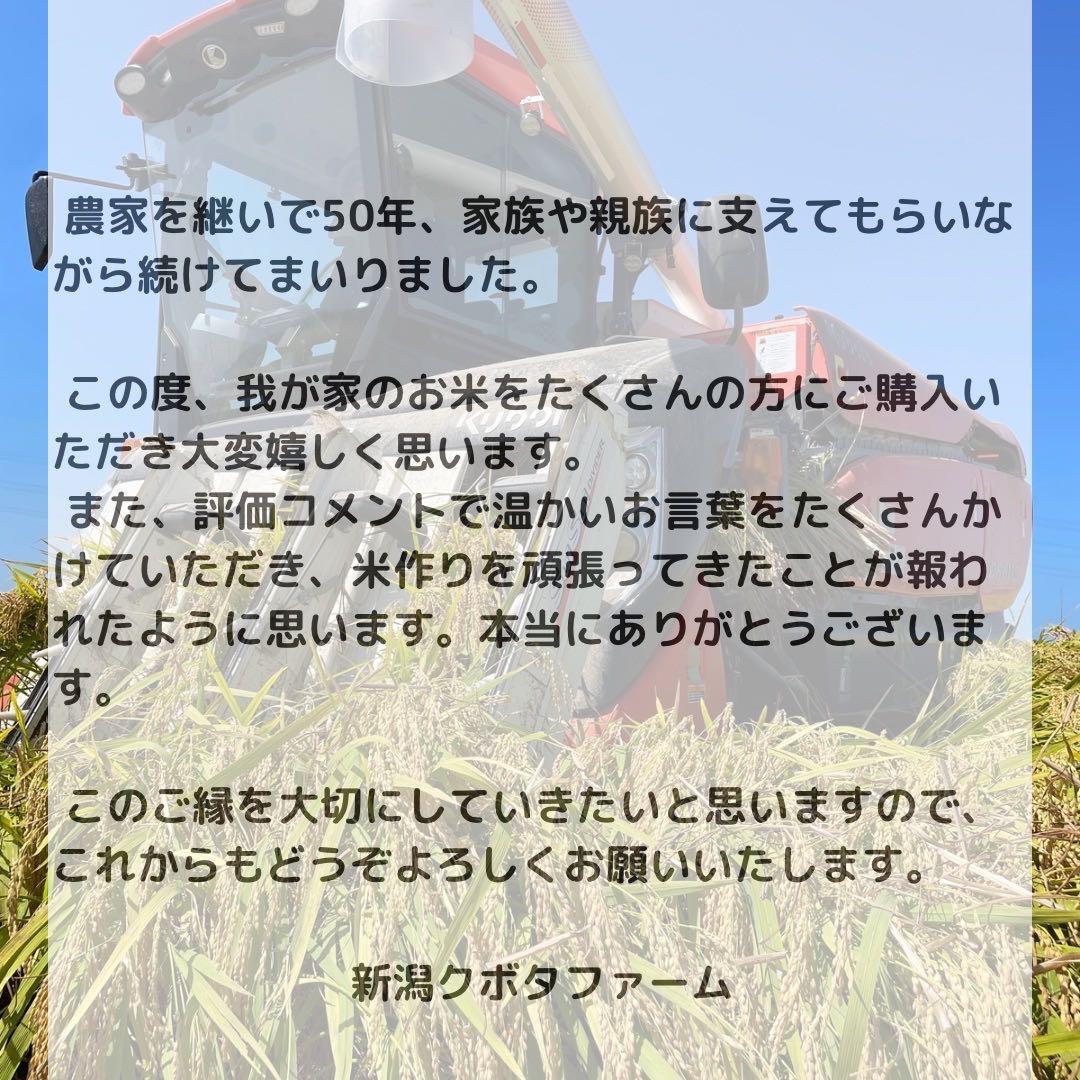 【最終出品】令和6年度　新潟県産 こがねもち 20kg（10キロ×2）