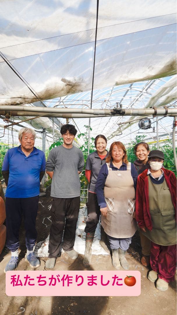 ミニトマト5kg 千果