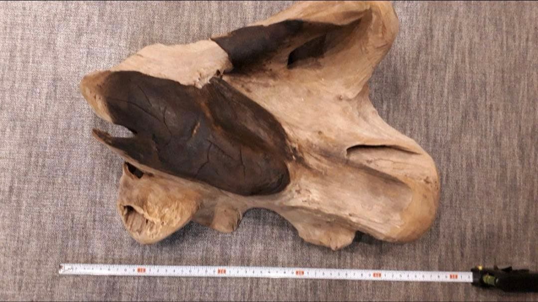 【送料込み】流木ガラスオブジェ