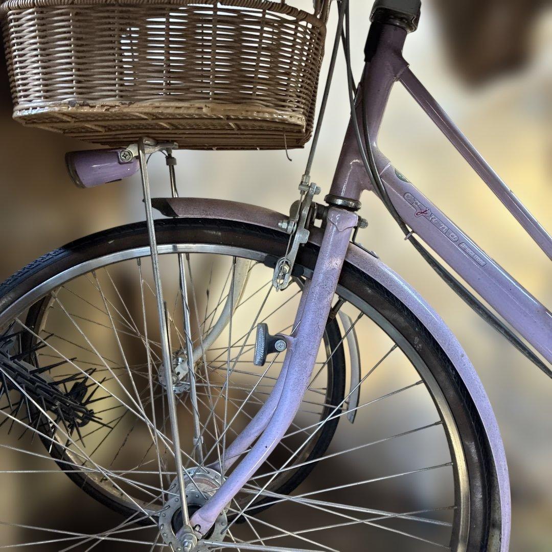 通学自転車　カジュナ