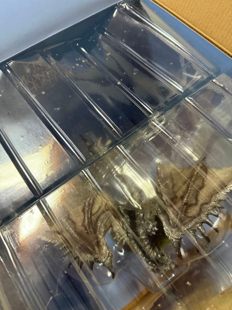 銀火竜リオレウス　クリエイターズモデル　開封済み