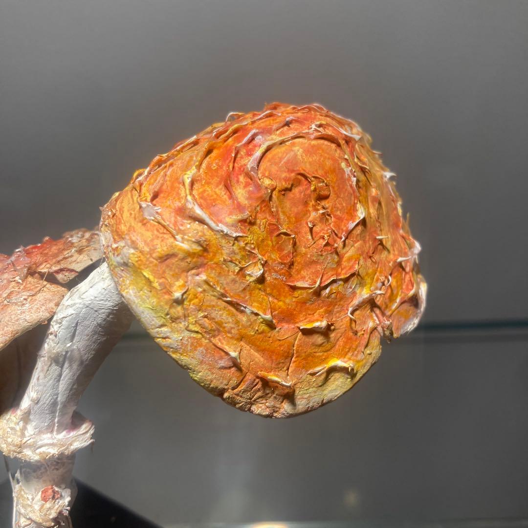 フランス　きのこ　模型　ビンテージ　実験　レトロ　石膏