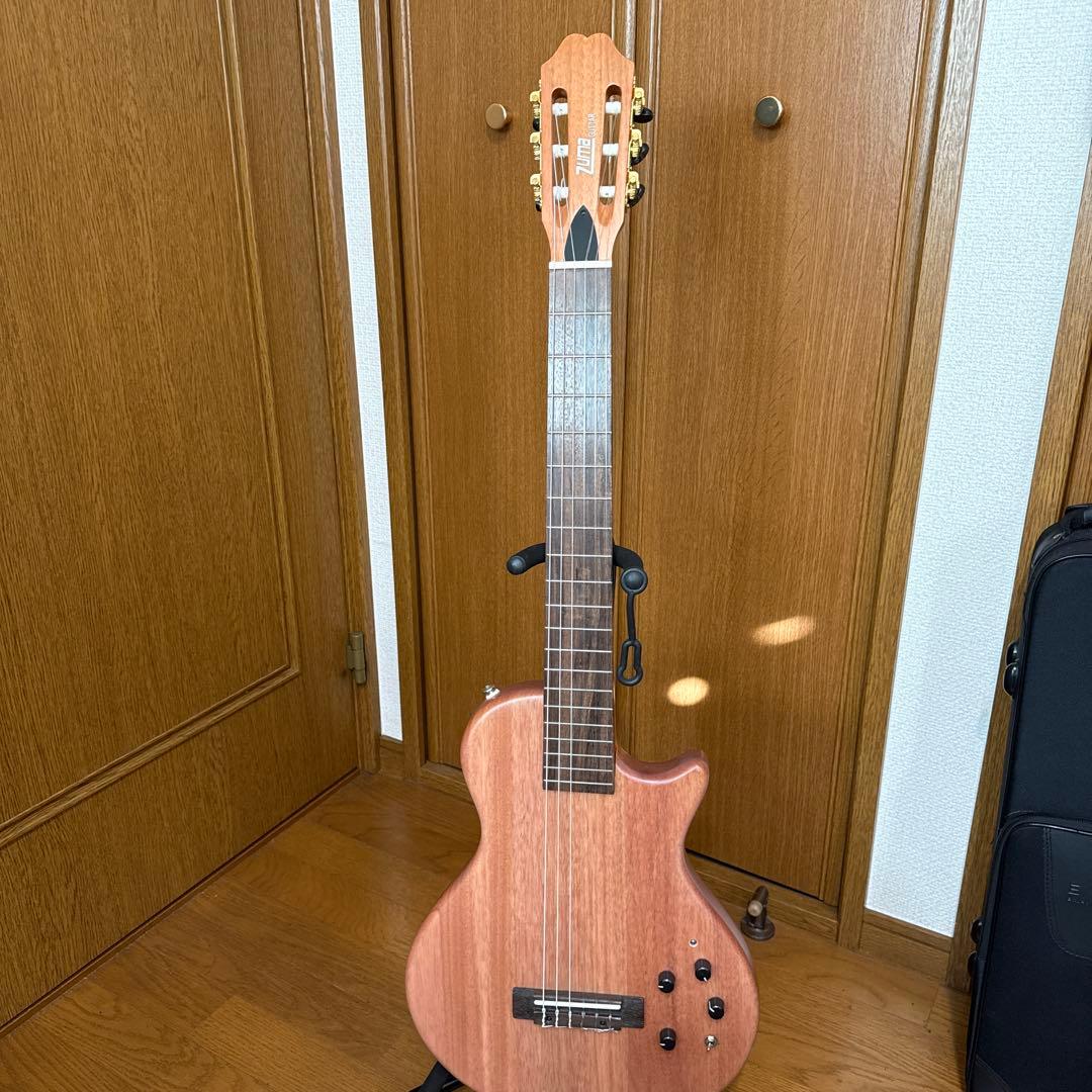 エレガットギター