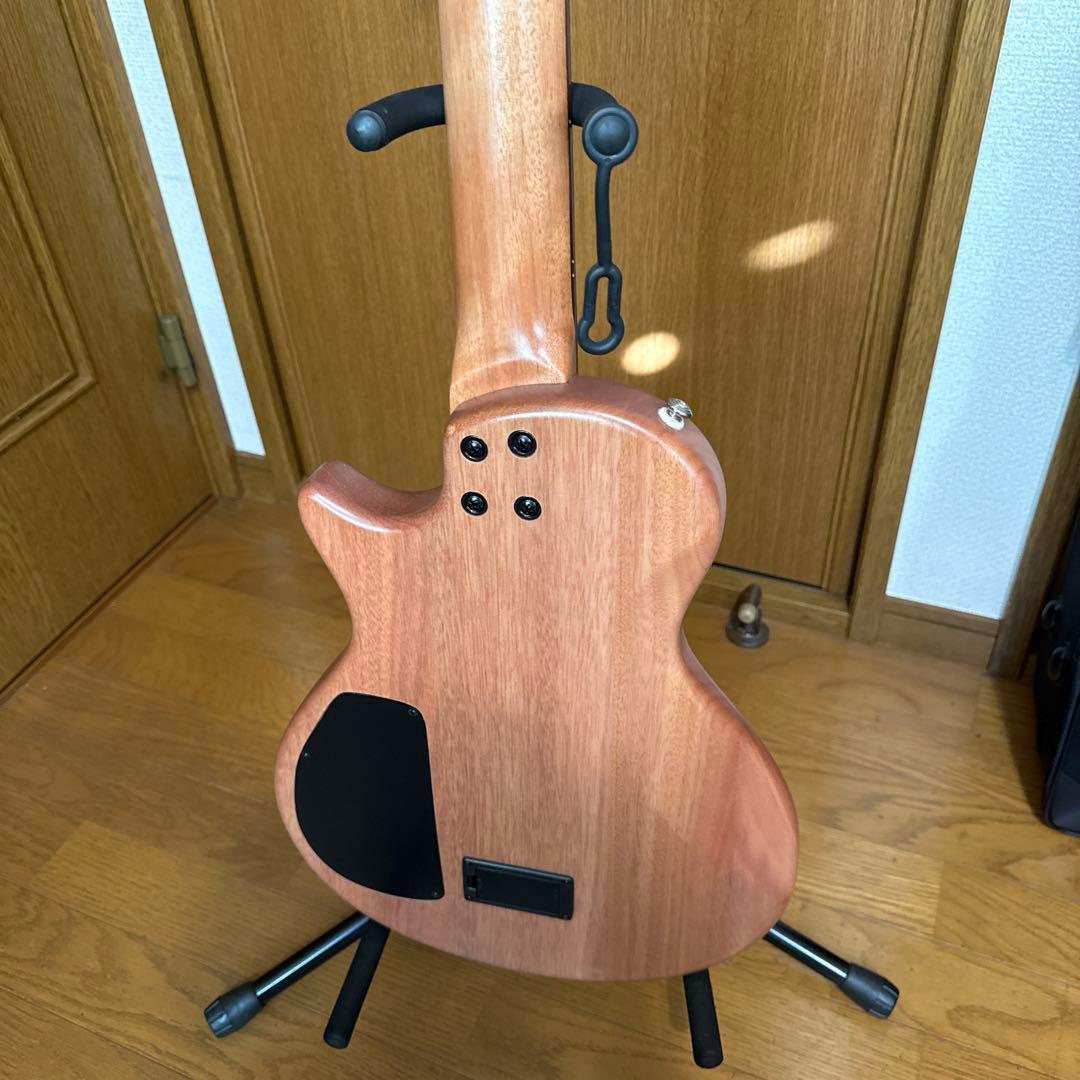 エレガットギター