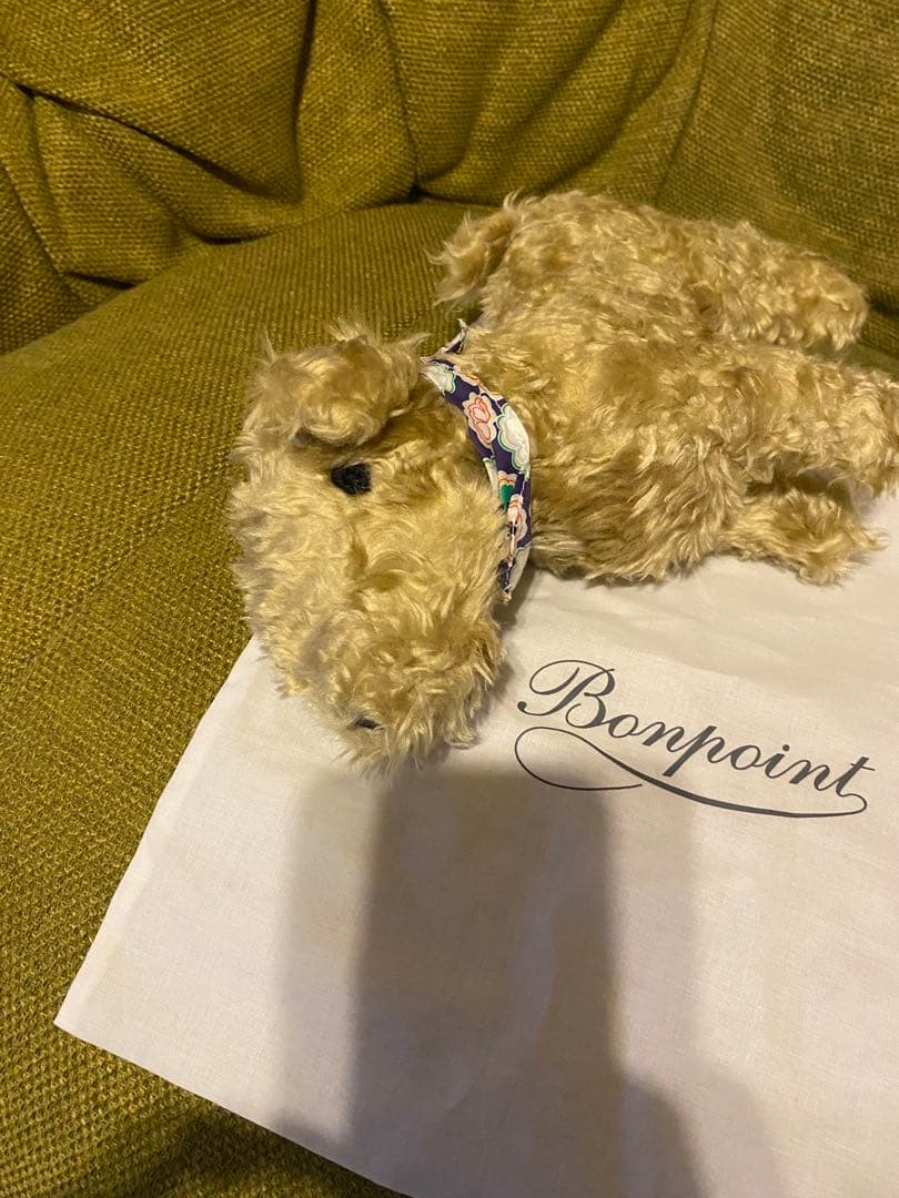 Bonpoint ぬいぐるみ　いちくん