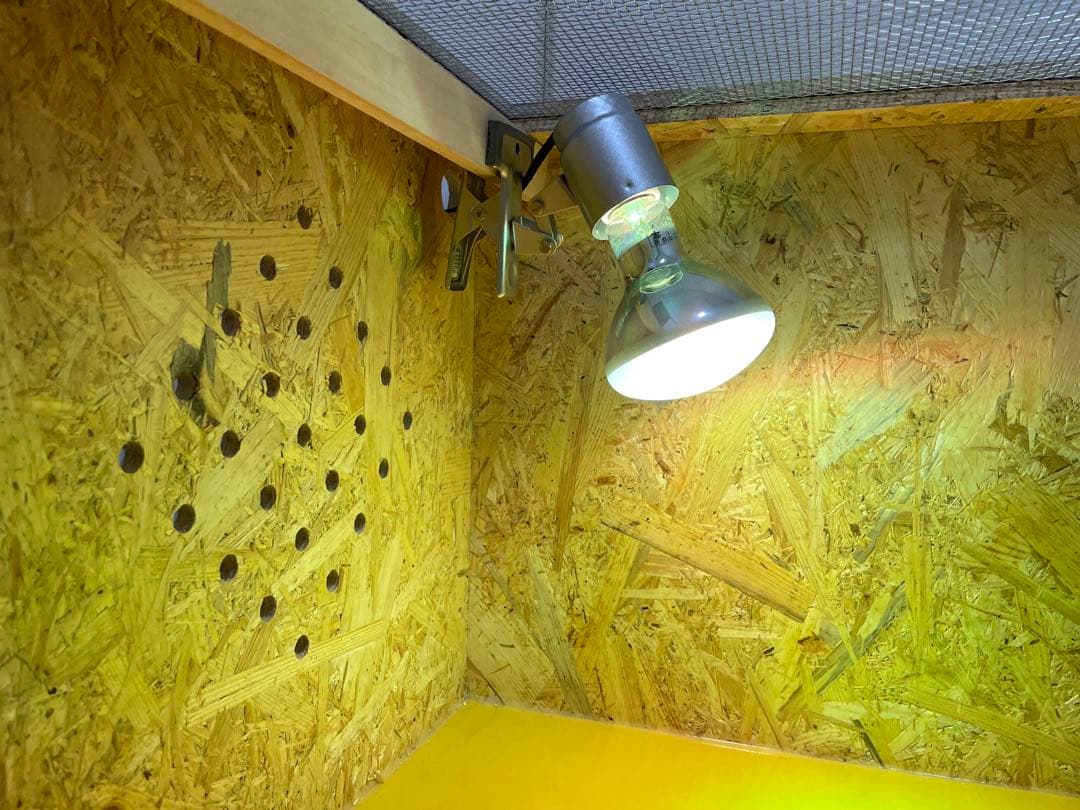 爬虫類ケージ　爬虫類木製ケージ　90ラック用サイズ　天井金網仕様