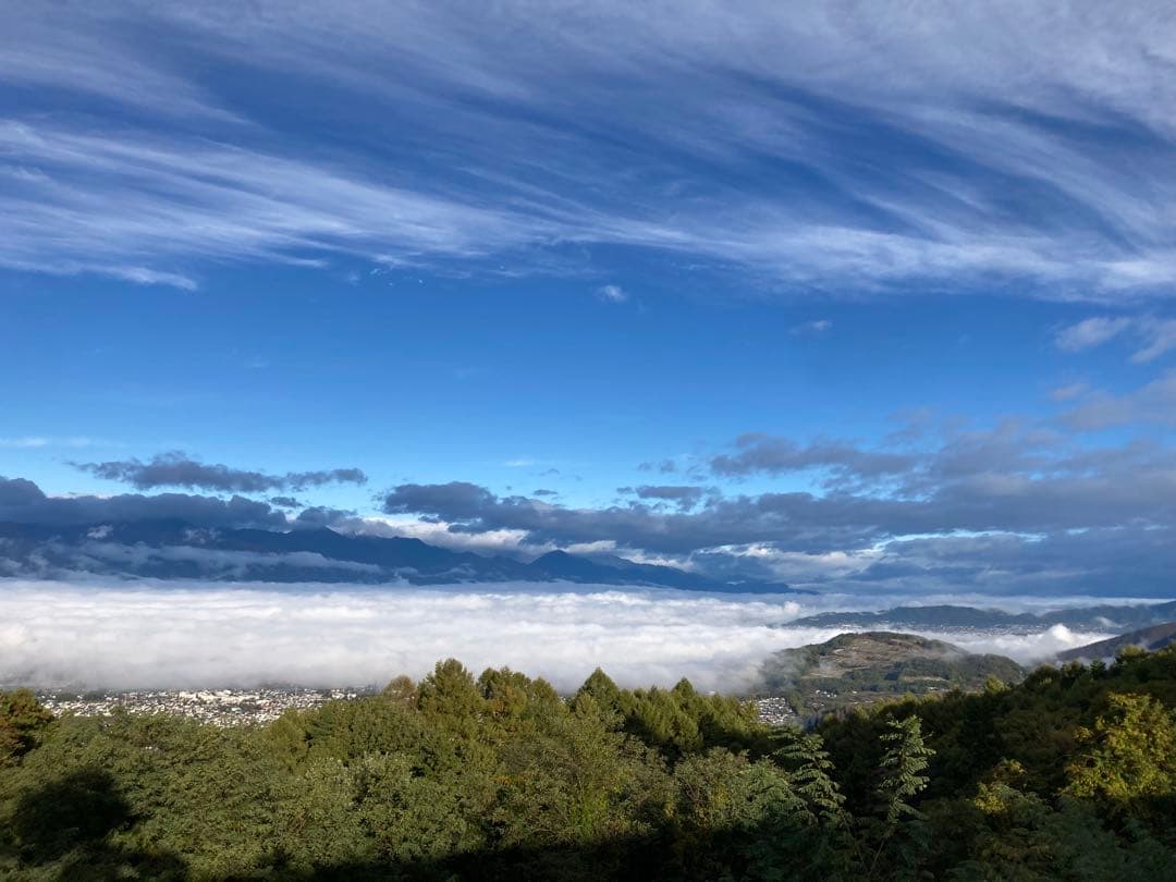 令和7年産魚沼コシヒカリ　玄米30kg