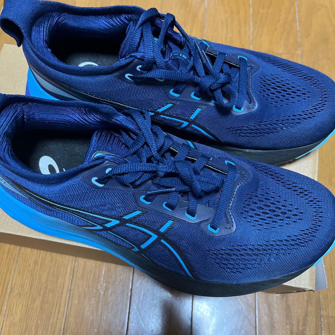 ASICS GEL-KAYANO31 ネイビー/ブルー WIDE 27.0cm