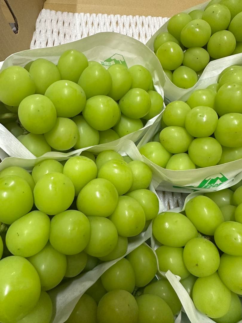 @カールさん　4kg