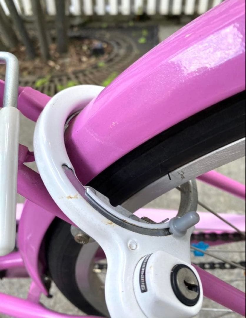 エコパル　ブリヂストン　22インチ　自転車