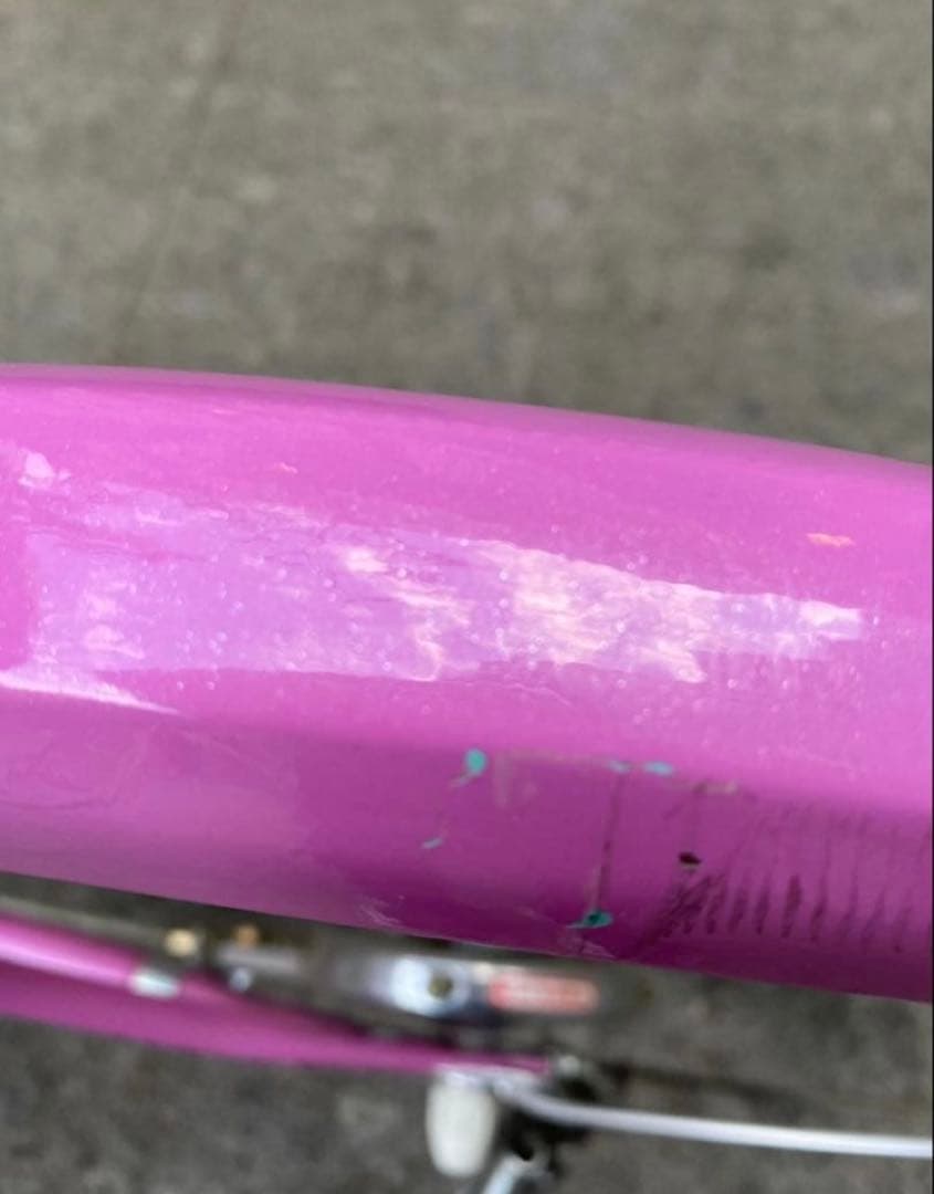 エコパル　ブリヂストン　22インチ　自転車