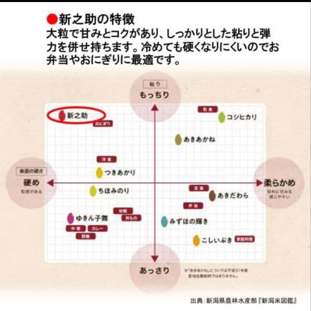 【土日限定】新潟の新ブランド米『新之助』10kg(5kg×2袋)★送料無料★