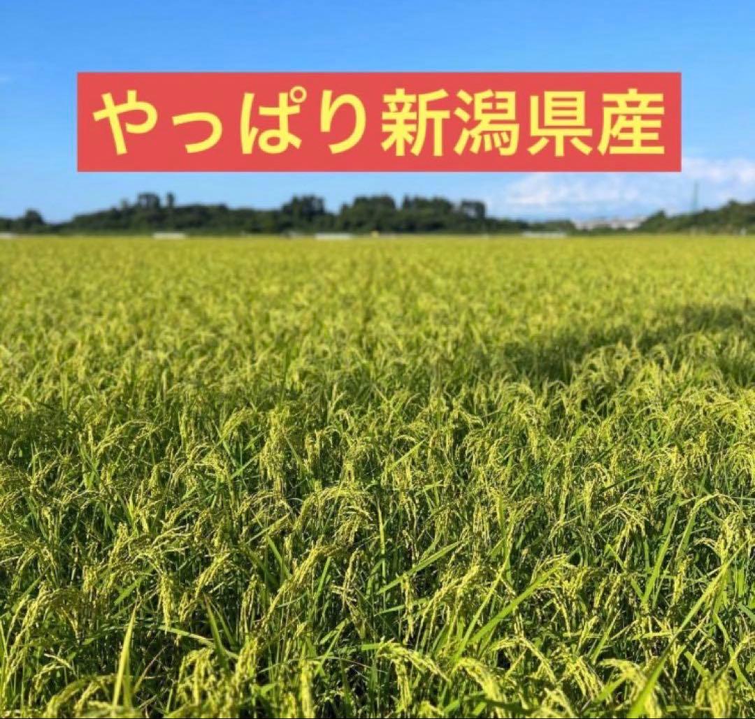 【土日限定】新潟の新ブランド米『新之助』10kg(5kg×2袋)★送料無料★