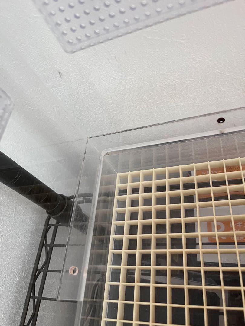 フクロモモンガ　アクリルケージ　ねくすと